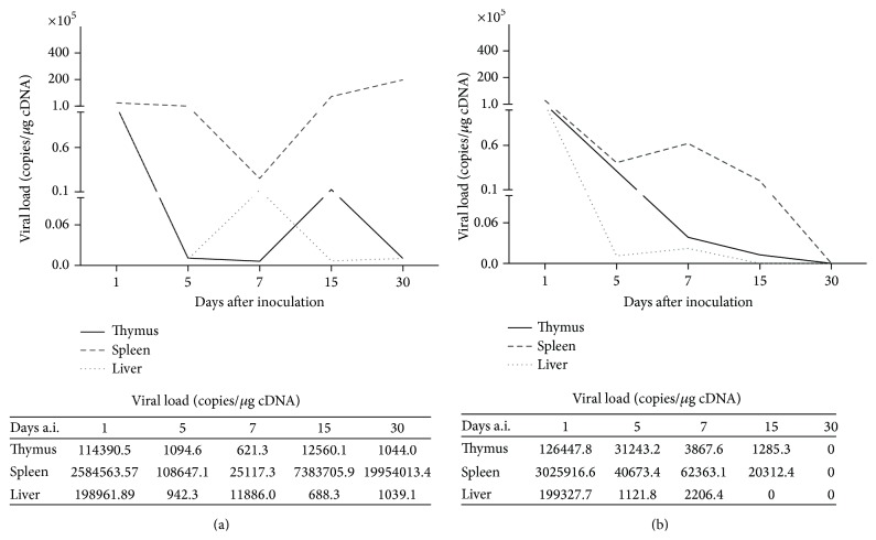 The Attenuated Live Yellow Fever Virus 17D Infects the Thymus and Induces Thymic Transcriptional Modifications of Immunomodulatory Genes in C57BL/6 and BALB/C Mice.