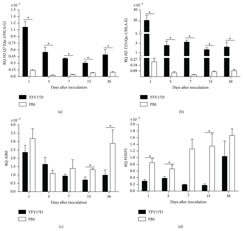 The Attenuated Live Yellow Fever Virus 17D Infects the Thymus and Induces Thymic Transcriptional Modifications of Immunomodulatory Genes in C57BL/6 and BALB/C Mice.