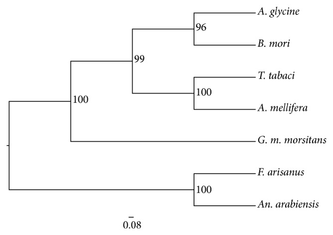 Insects' RNA Profiling Reveals Absence of "Hidden Break" in 28S Ribosomal RNA Molecule of Onion Thrips, Thrips tabaci.