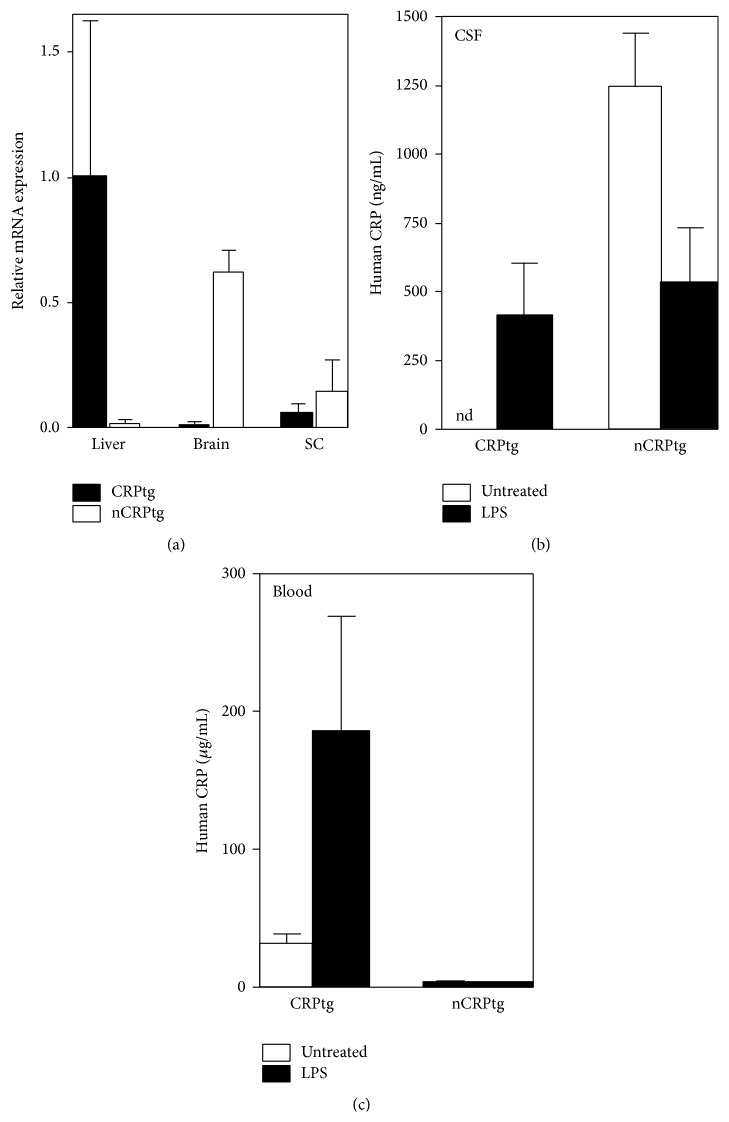 Hepatic but Not CNS-Expressed Human C-Reactive Protein Inhibits Experimental Autoimmune Encephalomyelitis in Transgenic Mice.