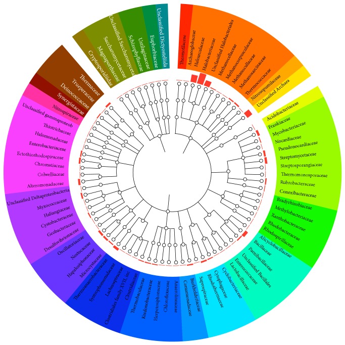 Adaptation, ecology, and evolution of the halophilic stromatolite archaeon Halococcus hamelinensis inferred through genome analyses.