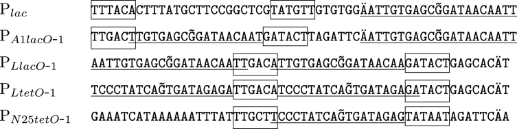 A simple model for Lutz and Bujard's controllable promoters and its application for analyzing a simple genetic oscillator.