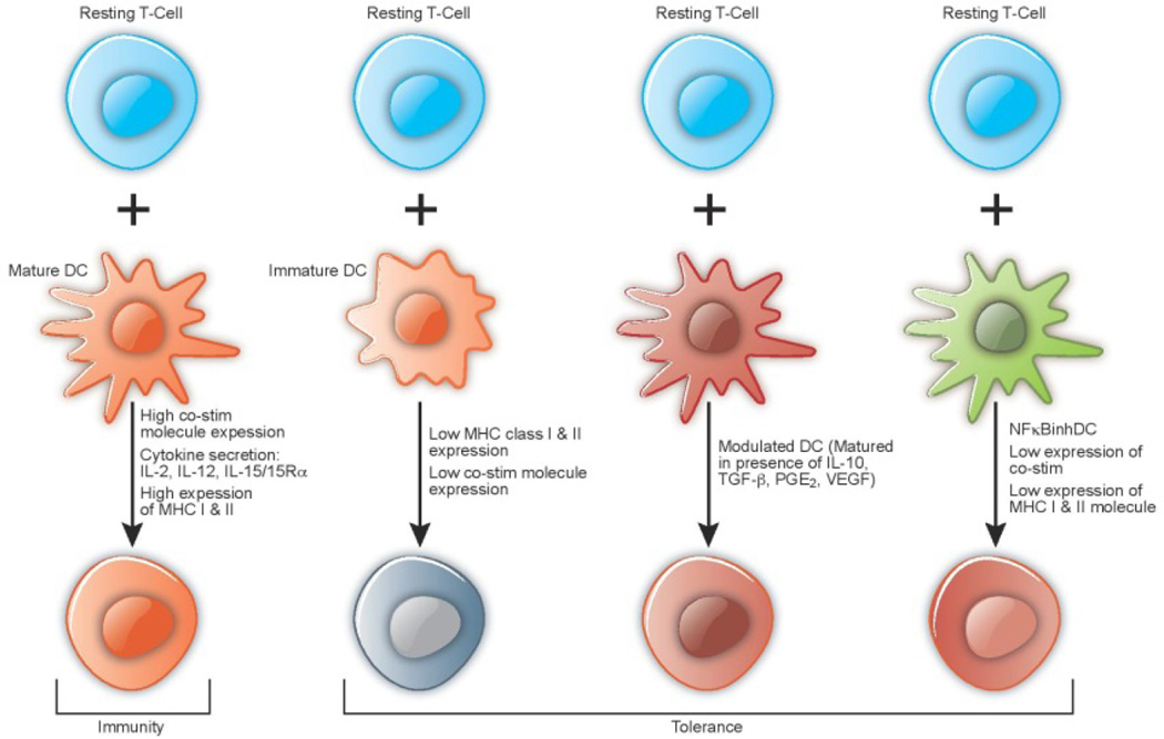 Artificial Antigen Presenting Cells: An Off the Shelf Approach for Generation of Desirable T-Cell Populations for Broad Application of Adoptive Immunotherapy.