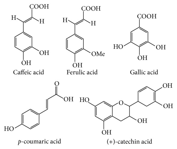 Beneficial role of bitter melon supplementation in obesity and related complications in metabolic syndrome.