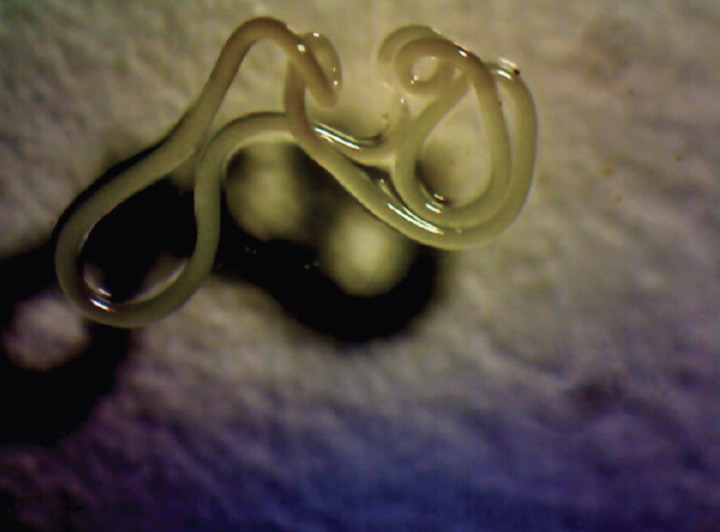 Abstract Image