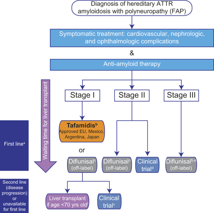 Evolving landscape in the management of transthyretin amyloidosis.