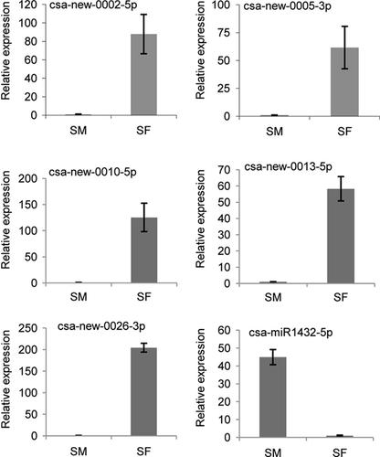 Identification of fruit related microRNAs in cucumber (Cucumis sativus L.) using high-throughput sequencing technology