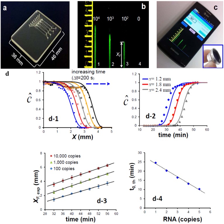 Integrated Microfluidic Nucleic Acid Isolation, Isothermal Amplification, and Amplicon Quantification.