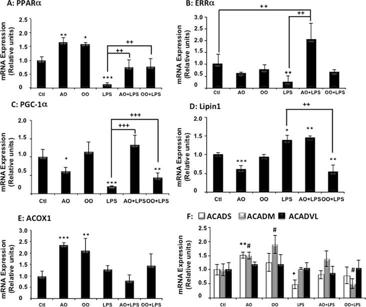 Argan oil prevents down-regulation induced by endotoxin on liver fatty acid oxidation and gluconeogenesis and on peroxisome proliferator-activated receptor gamma coactivator-1α, (PGC-1α), peroxisome proliferator-activated receptor α (PPARα) and estrogen related receptor α (ERRα)