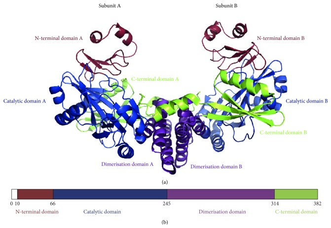 Archaeal Nucleic Acid Ligases and Their Potential in Biotechnology.