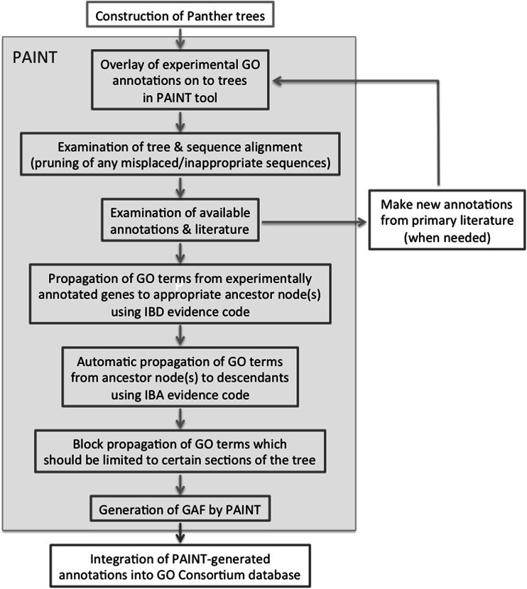 Application of comparative biology in GO functional annotation: the mouse model.