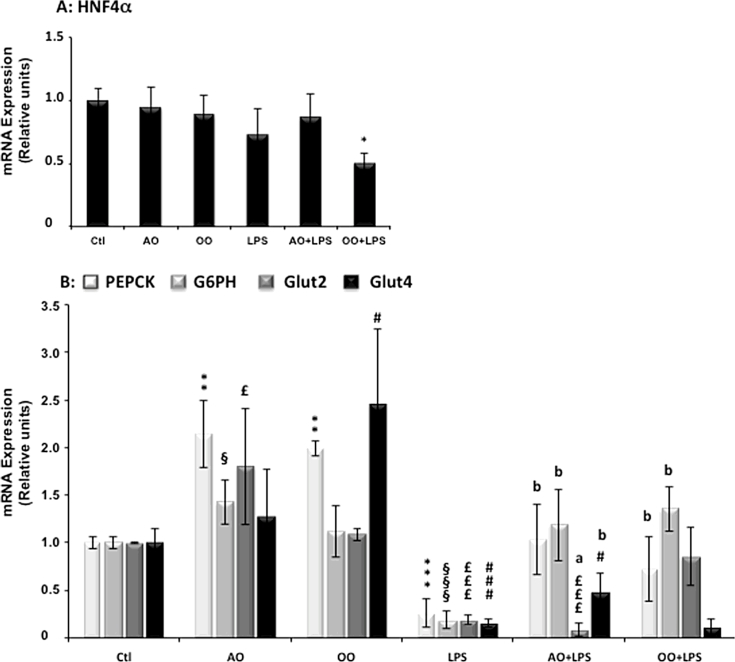 Argan oil prevents down-regulation induced by endotoxin on liver fatty acid oxidation and gluconeogenesis and on peroxisome proliferator-activated receptor gamma coactivator-1α, (PGC-1α), peroxisome proliferator-activated receptor α (PPARα) and estrogen related receptor α (ERRα)