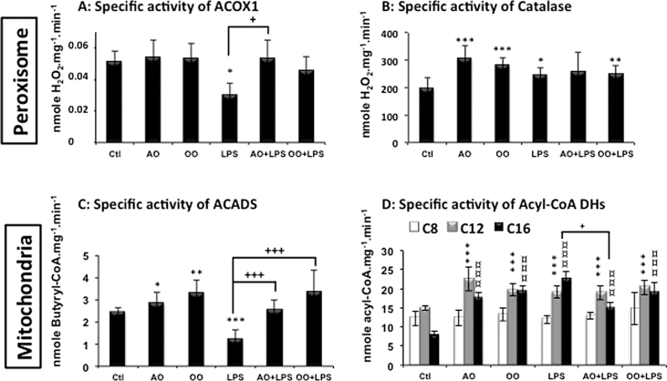 Argan oil prevents down-regulation induced by endotoxin on liver fatty acid oxidation and gluconeogenesis and on peroxisome proliferator-activated receptor gamma coactivator-1α, (PGC-1α), peroxisome proliferator-activated receptor α (PPARα) and estrogen related receptor α (ERRα)