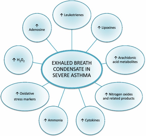 Biomarkers and severe asthma: a critical appraisal.