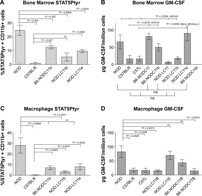 Csf2 and Ptgs2 Epigenetic Dysregulation in Diabetes-prone Bicongenic B6.NODC11bxC1tb Mice.