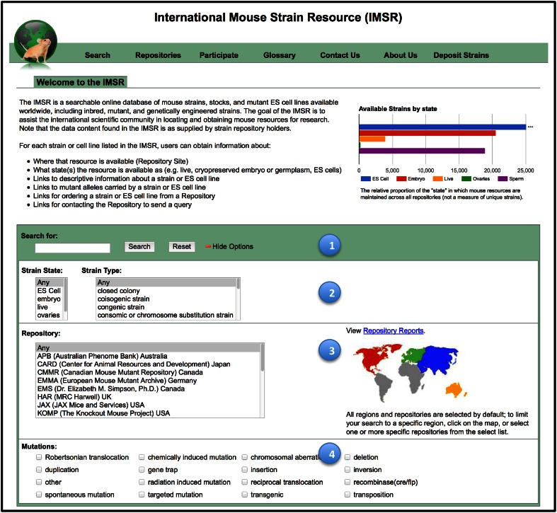 The International Mouse Strain Resource (IMSR): cataloging worldwide mouse and ES cell line resources.