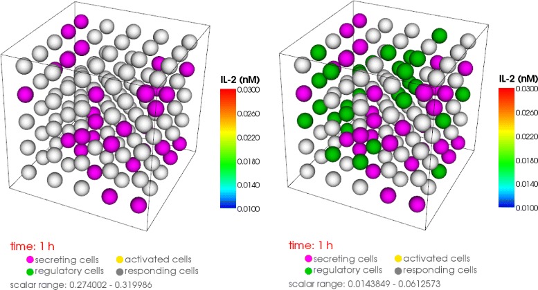 PDE/ODE modeling and simulation to determine the role of diffusion in long-term and -range cellular signaling.