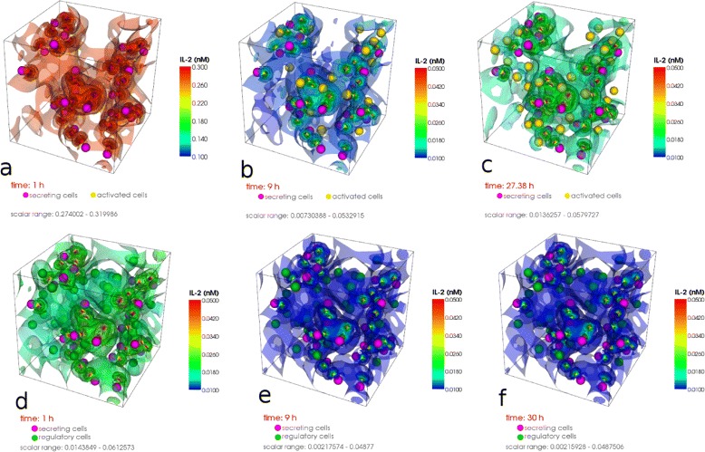 PDE/ODE modeling and simulation to determine the role of diffusion in long-term and -range cellular signaling.