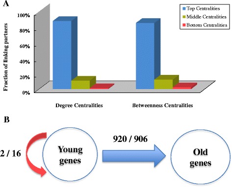 New genes drive the evolution of gene interaction networks in the human and mouse genomes.