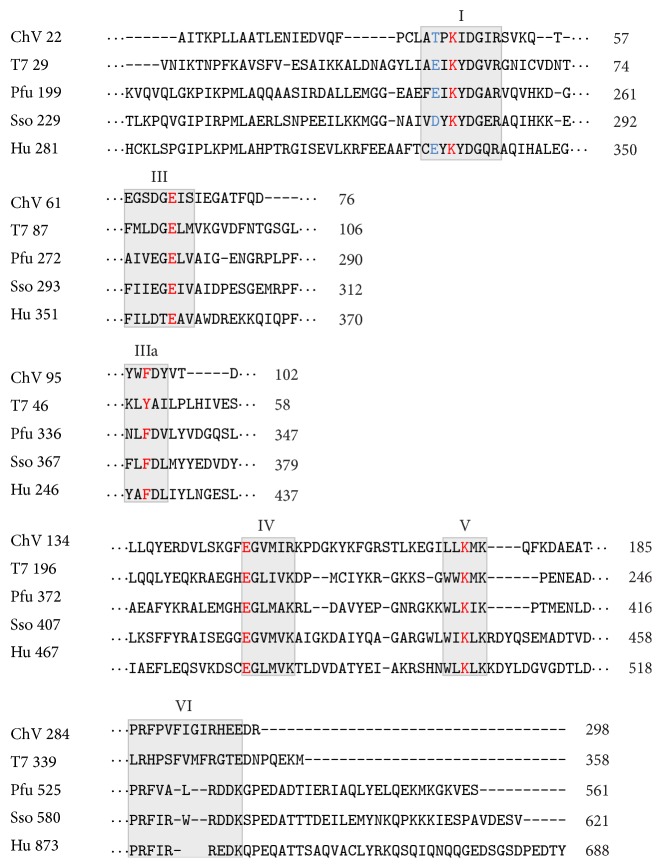 From Structure-Function Analyses to Protein Engineering for Practical Applications of DNA Ligase.