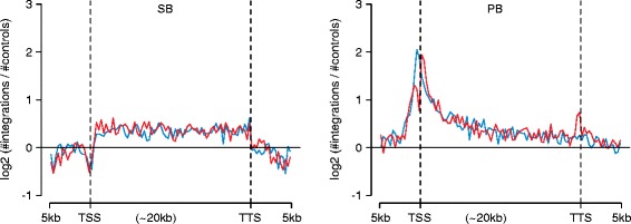 The utility of transposon mutagenesis for cancer studies in the era of genome editing.