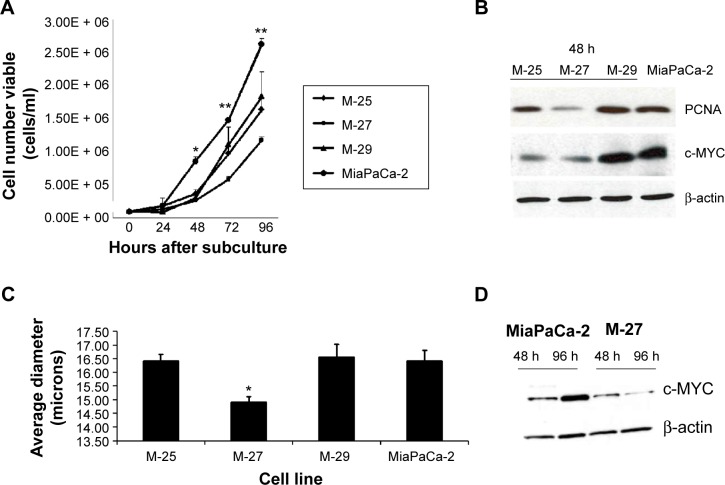 Mutant K-RAS Promotes Invasion and Metastasis in Pancreatic Cancer Through GTPase Signaling Pathways.