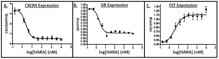 Molecular targets of androgen signaling that characterize skeletal muscle recovery and regeneration.