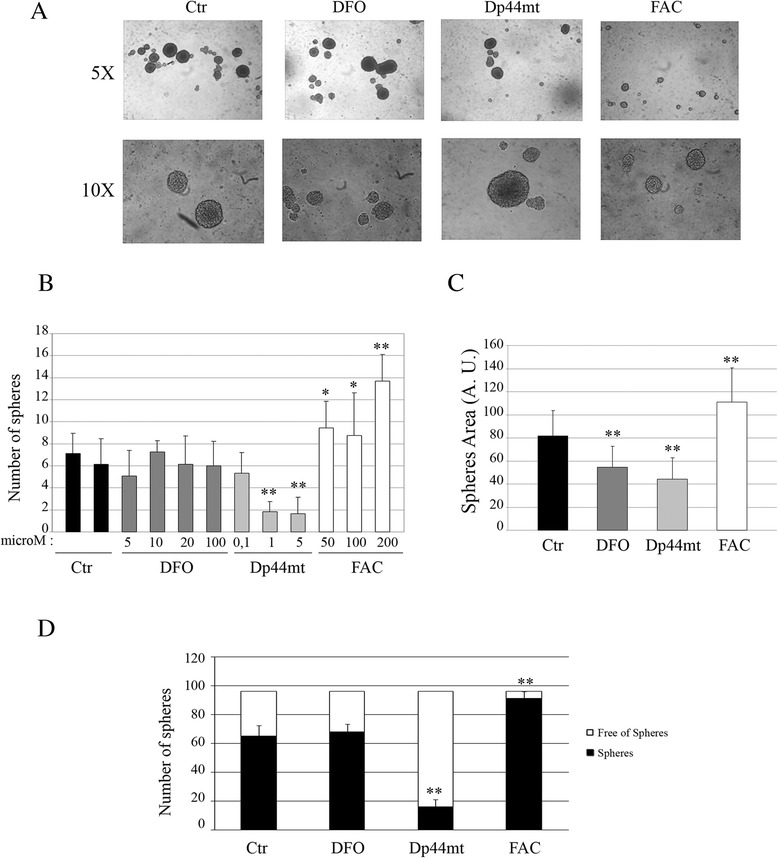 Proteomic analysis of extracellular vesicles from medullospheres reveals a role for iron in the cancer progression of medulloblastoma.