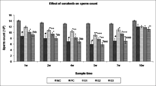 Effect of sorafenib on sperm count and sperm motility in male Swiss albino mice.