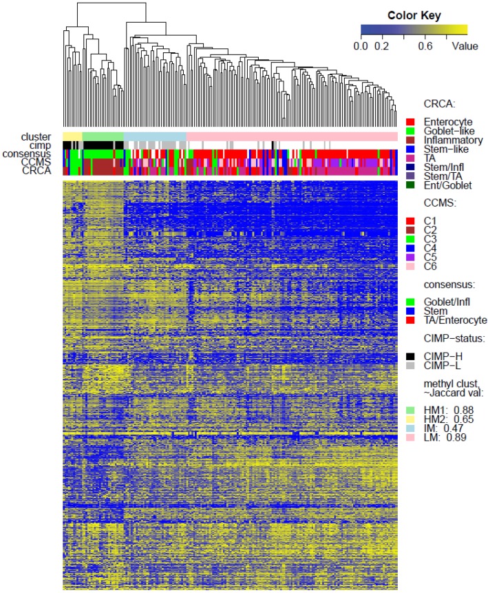 Integrating Colon Cancer Microarray Data: Associating Locus-Specific Methylation Groups to Gene Expression-Based Classifications.