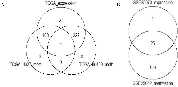 Integrating Colon Cancer Microarray Data: Associating Locus-Specific Methylation Groups to Gene Expression-Based Classifications.