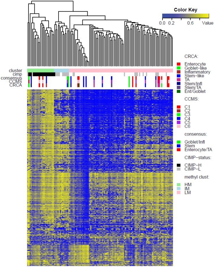 Integrating Colon Cancer Microarray Data: Associating Locus-Specific Methylation Groups to Gene Expression-Based Classifications.