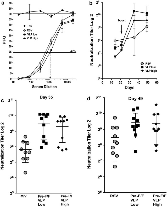 Cotton rat immune responses to virus-like particles containing the pre-fusion form of respiratory syncytial virus fusion protein.