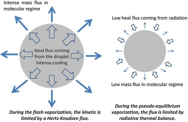 Numerical Modeling of the Droplet Vaporization for Design and Operation of Liquid-pulsed CVD†