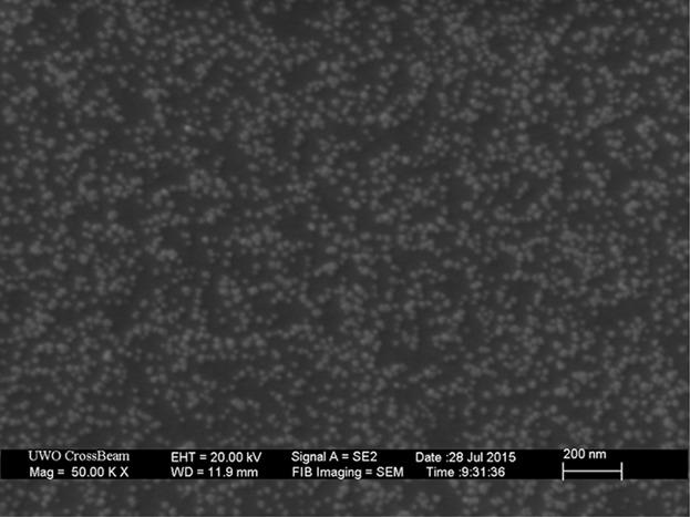 OMCVD Gold Nanoparticles Covalently Attached to Polystyrene for Biosensing Applications†