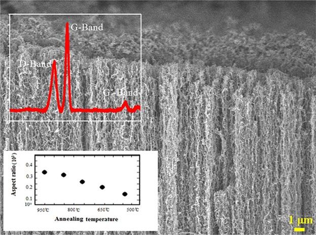 Possible High Efficiency Platform for Biosensors Based on Optimum Physical Chemistry of Carbon Nanotubes†