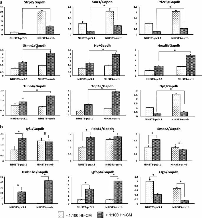 Genes targeted by the Hedgehog-signaling pathway can be regulated by Estrogen related receptor β