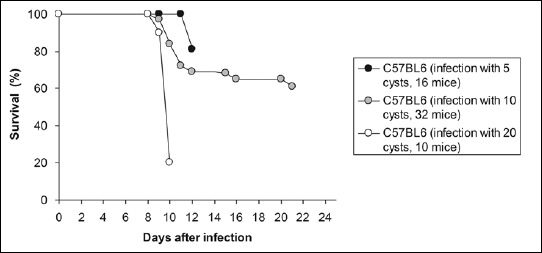 Experimental Models of Ocular Infection with Toxoplasma Gondii.