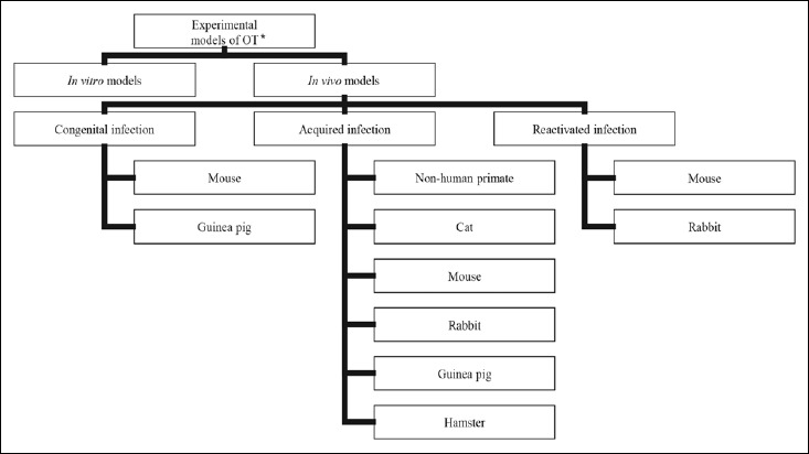 Experimental Models of Ocular Infection with Toxoplasma Gondii.