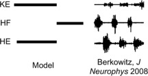 Conditions for Multi-functionality in a Rhythm Generating Network Inspired by Turtle Scratching.