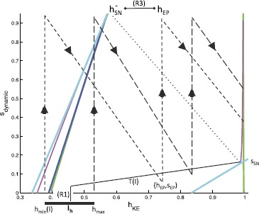 Conditions for Multi-functionality in a Rhythm Generating Network Inspired by Turtle Scratching.