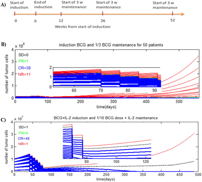 Treatment of non-muscle invasive bladder cancer with Bacillus Calmette–Guerin (BCG): Biological markers and simulation studies