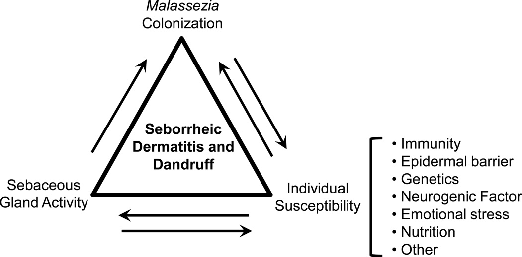 Seborrheic Dermatitis and Dandruff: A Comprehensive Review.