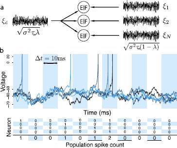 A Simple Mechanism for Beyond-Pairwise Correlations in Integrate-and-Fire Neurons.