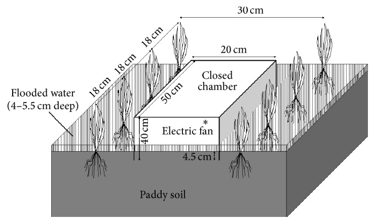 Contribution of Ebullition to Methane and Carbon Dioxide Emission from Water between Plant Rows in a Tropical Rice Paddy Field.