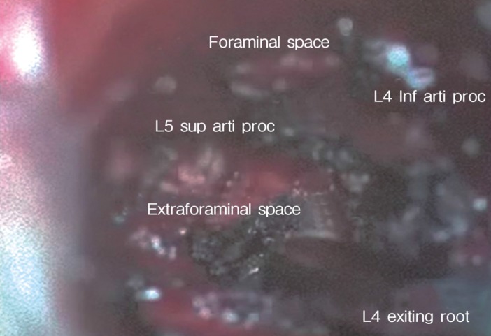Abstract Image