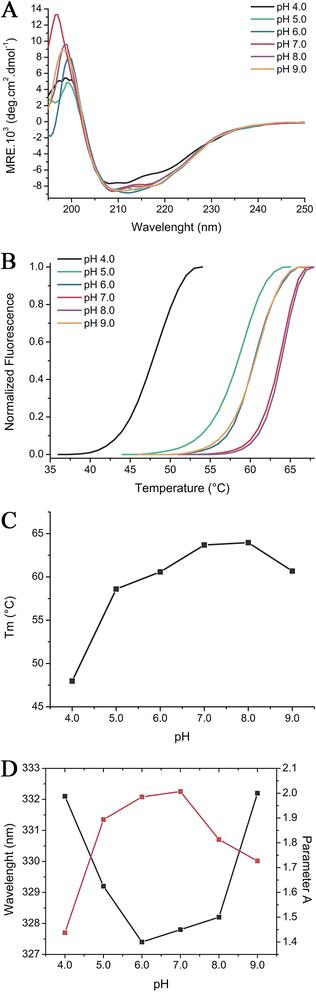 Crystal structure and biophysical characterization of the nucleoside diphosphate kinase from Leishmania braziliensis