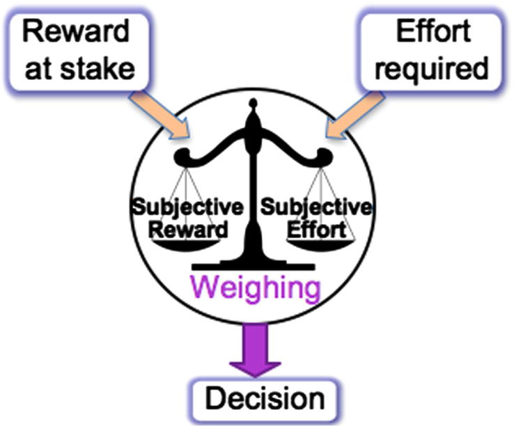 Characterization of reward and effort mechanisms in apathy