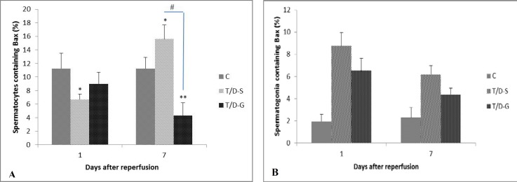 Effects of Ghrelin on germ cell apoptosis and proinflammatory cytokines production in Ischemia-reperfusion of the rat testis.