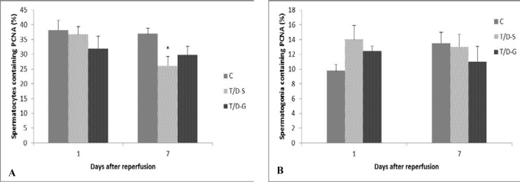 Effects of Ghrelin on germ cell apoptosis and proinflammatory cytokines production in Ischemia-reperfusion of the rat testis.